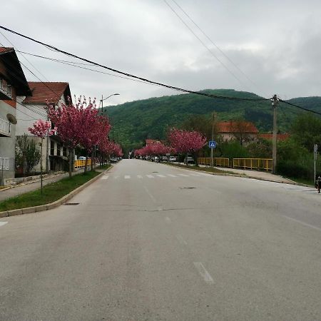 Apartamento Pansion Velickovic Niska Banja Exterior foto