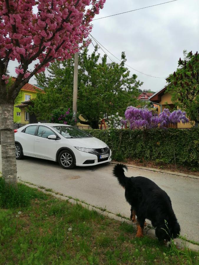 Apartamento Pansion Velickovic Niska Banja Exterior foto