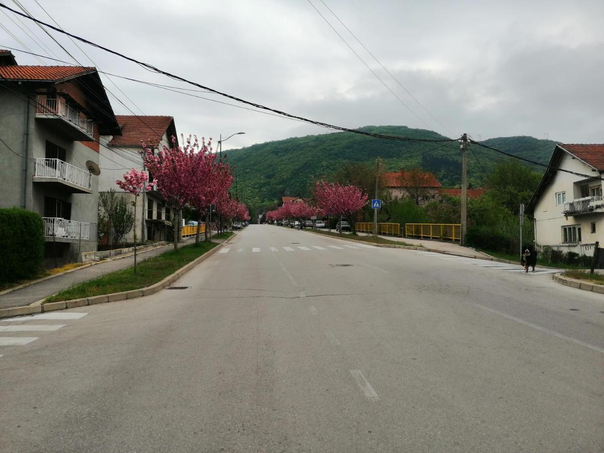 Apartamento Pansion Velickovic Niska Banja Exterior foto