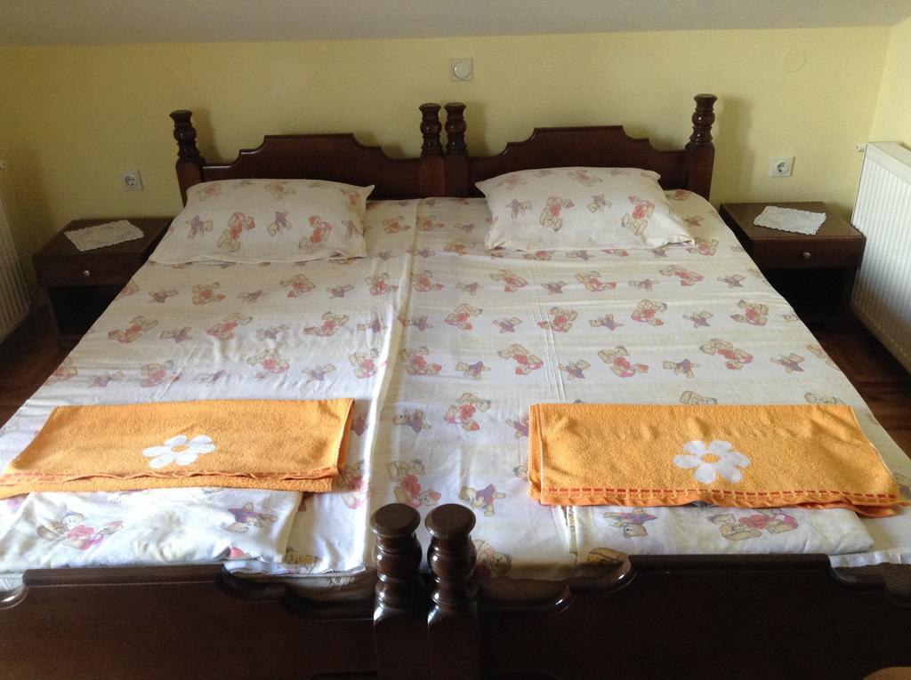 Apartamento Pansion Velickovic Niska Banja Habitación foto
