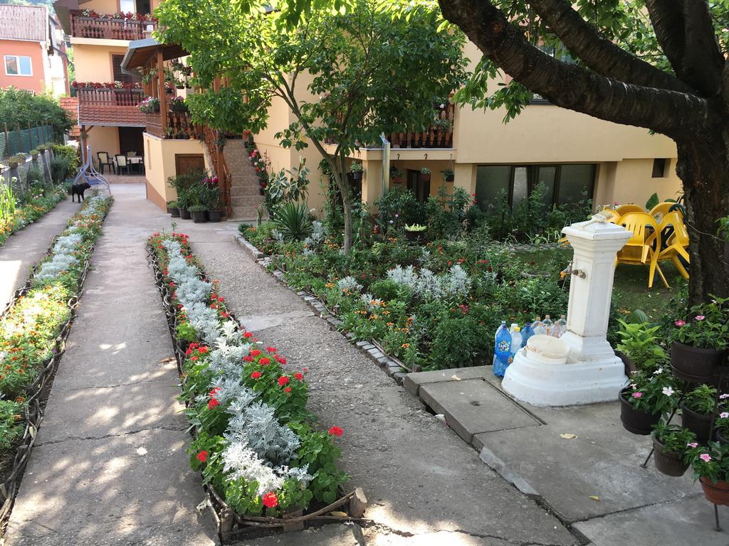 Apartamento Pansion Velickovic Niska Banja Exterior foto