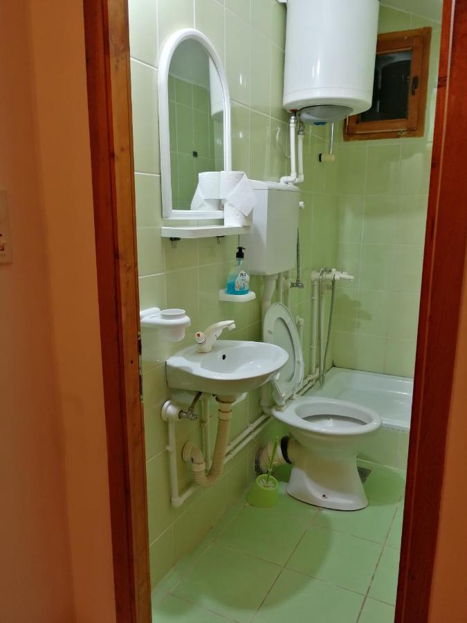 Apartamento Pansion Velickovic Niska Banja Exterior foto